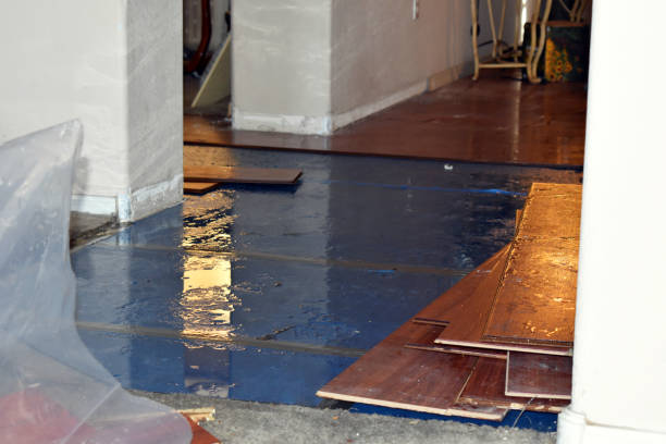 Professional Emergency Water Damage Restoration technician working in Butler, OH